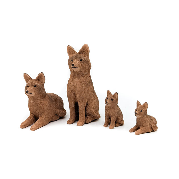 Coyote Family