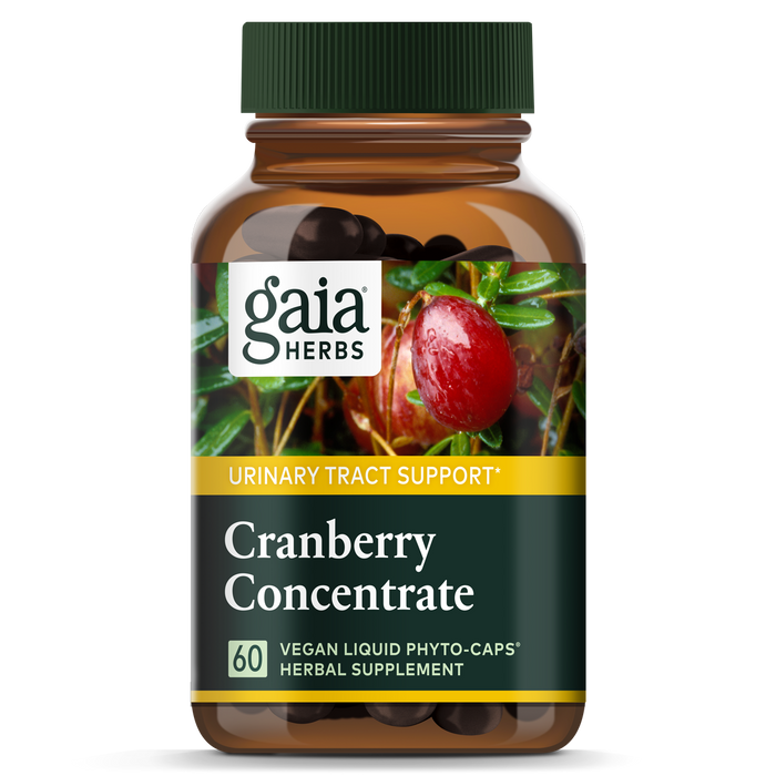 Gaia Herbs Cranberry Concentrate is a potent herbal supplement for Urinary Tract Support, featuring 60 vegan liquid phyto-caps, with packaging that showcases cranberries and leaves for a natural touch.