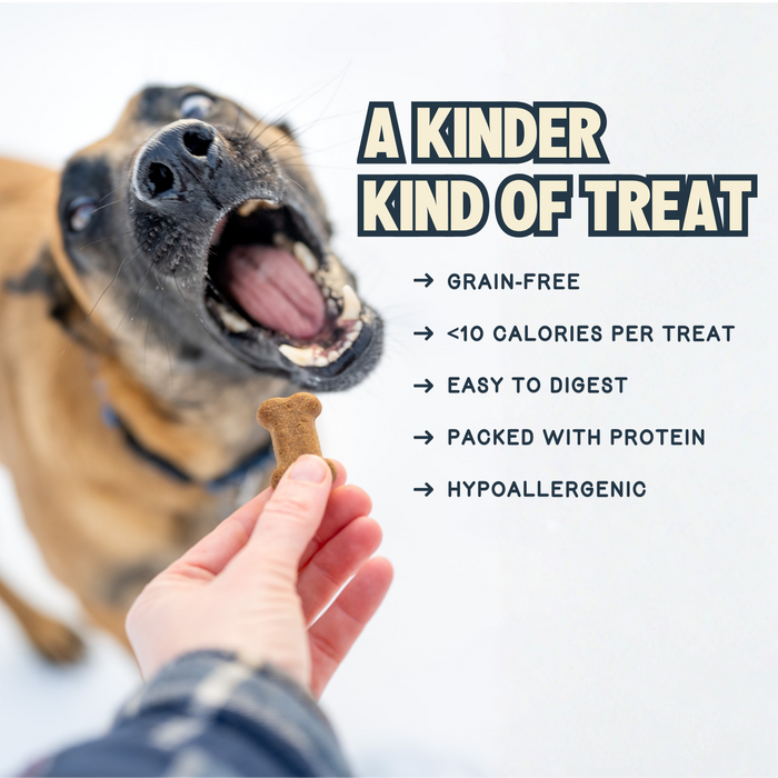 A person offers Jiminy’s Crunchy Original Cricket Dog Treat to a happy dog. Text: “A kinder kind of treat”—grain-free, under 10 calories, easy to digest, high protein from crickets, and hypoallergenic.