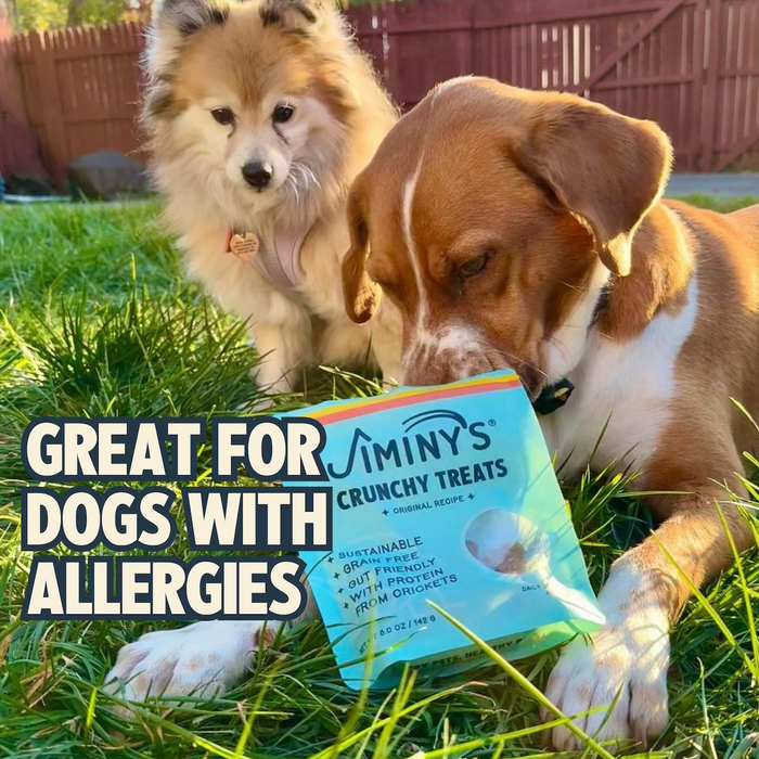 Two dogs sit on grass in a sunny yard. One enjoys Jiminy’s Crunchy Original Cricket Dog Treat, while the other looks on. Text reads: Great for dogs with allergies.