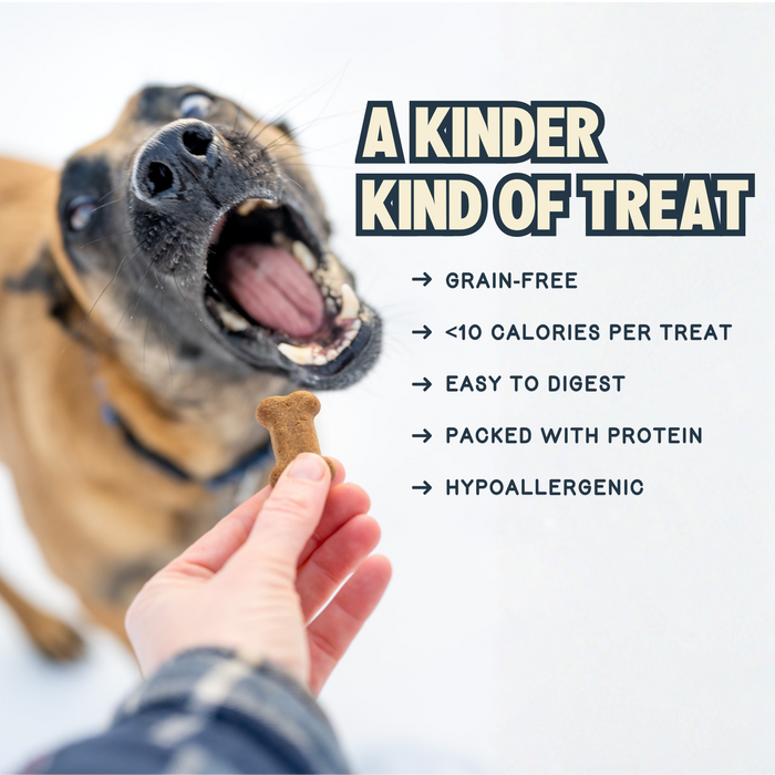 A happy dog opens its mouth as someone offers a Jiminy’s Crunchy Peanut Butter & Blueberry Cricket Dog Treat. Text highlights: grain-free, hypoallergenic, under 10 calories, protein-rich, and easy to digest.