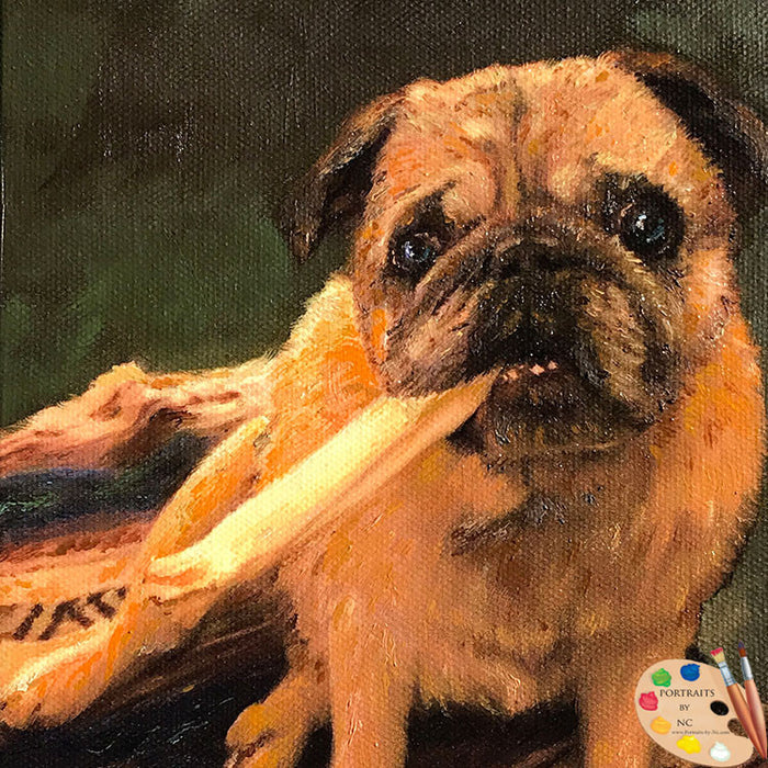 Pug Dog Portrait 569