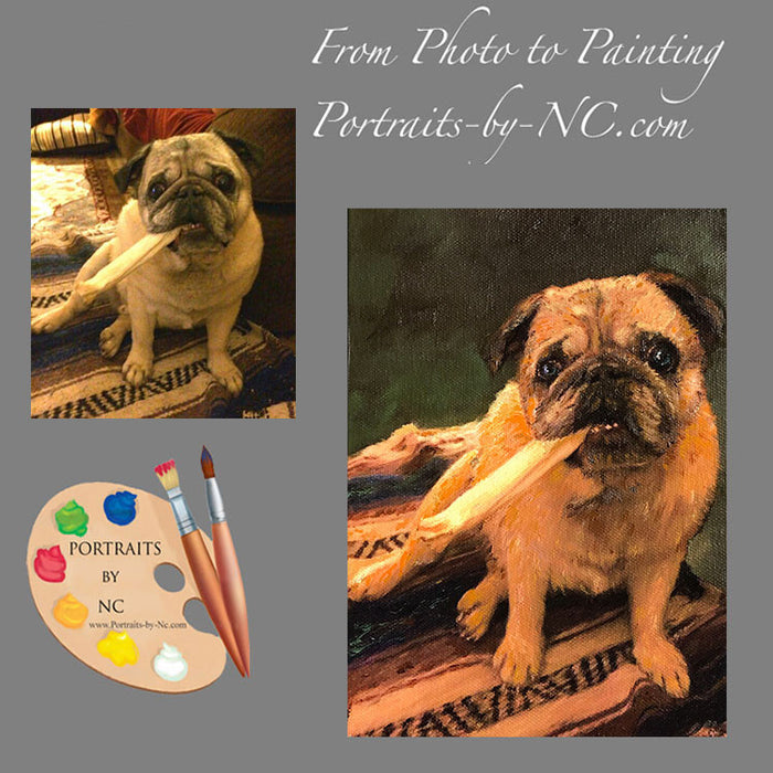 Pug Dog Portrait from Photo 569