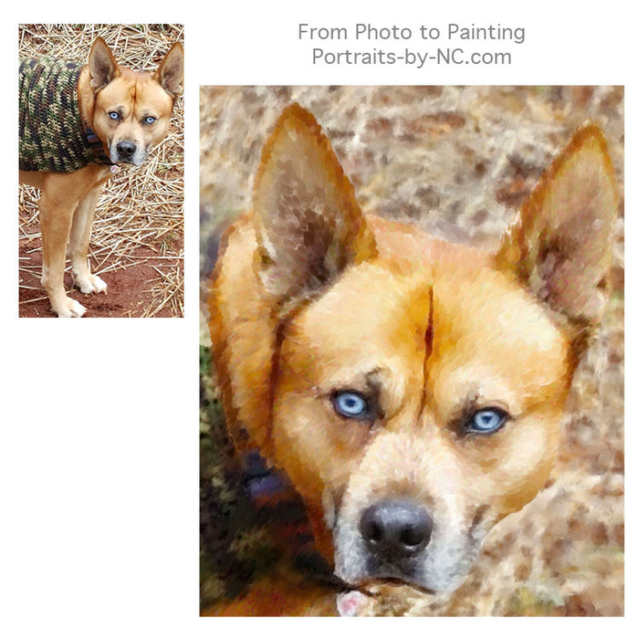 Dog Portrait painted from Photo