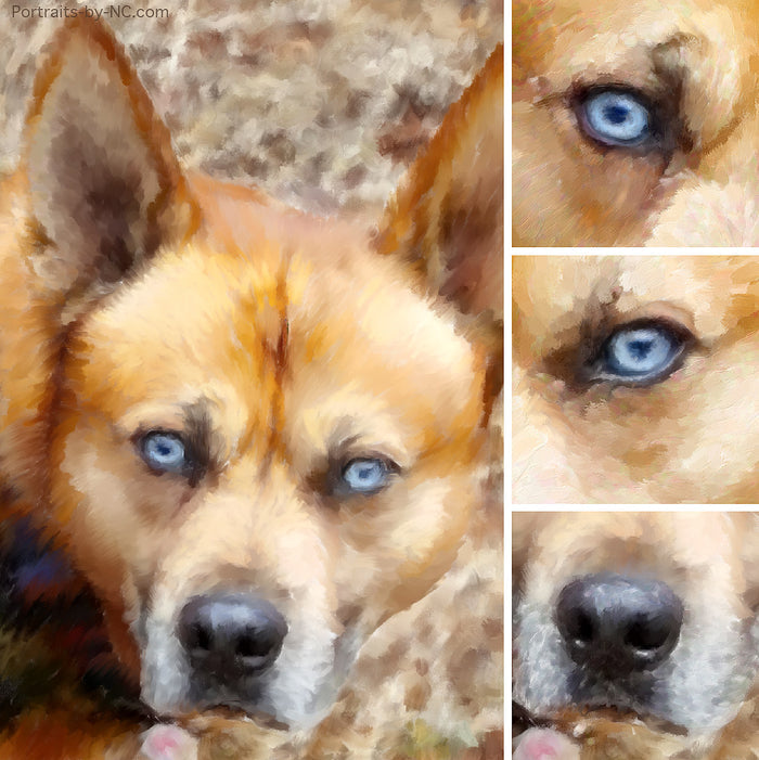 Boxer painting detail