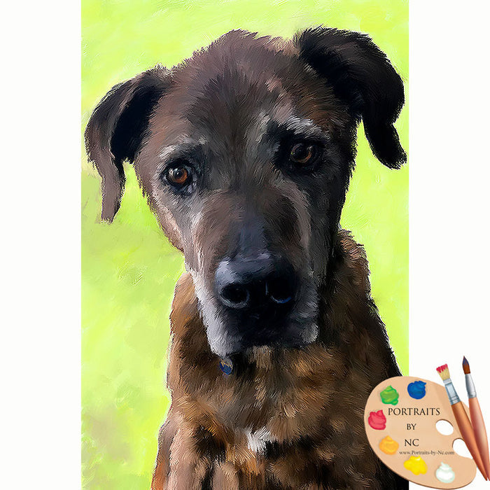 Brown Dog Pet Portrait 632 - Portraits by NC