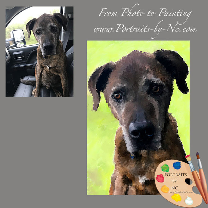 Brown Dog Pet Portrait 632 - Portraits by NC