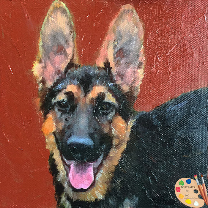 german-shepherd-portrait-003