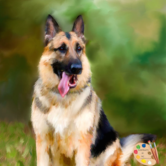 German Shepherd Portrait 641