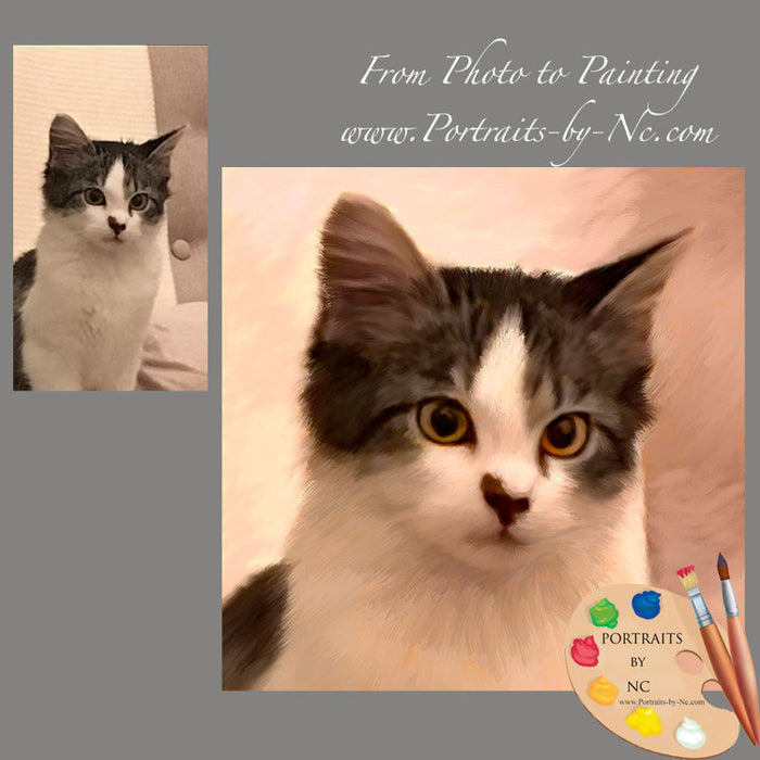 Kitten Portrait from Photo 619