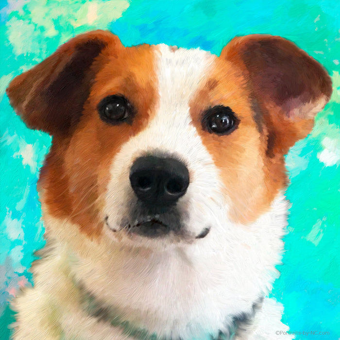 Hound dog portrait