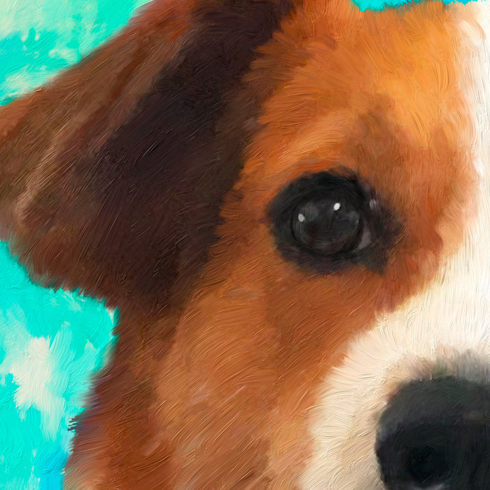 Hound face detail