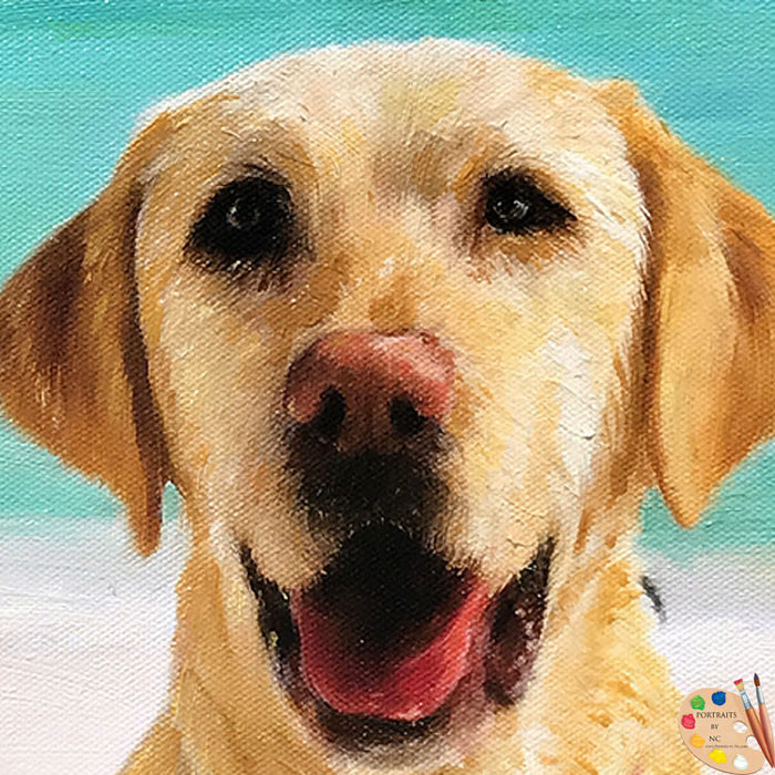 Labrador Face Portrait