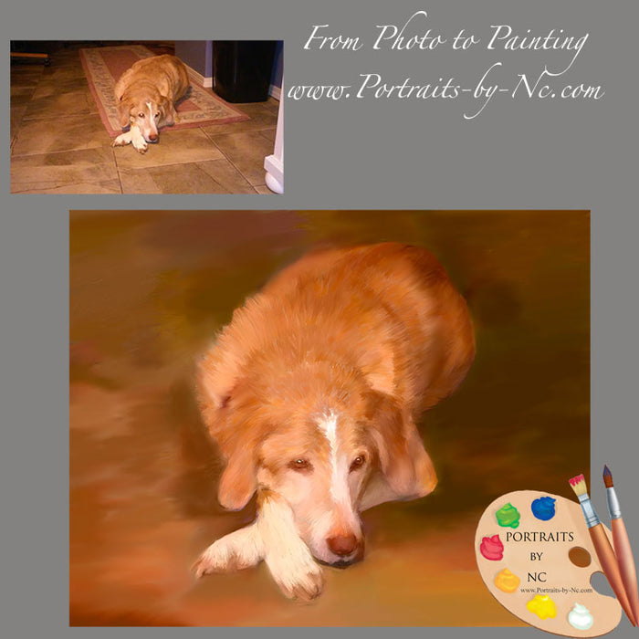 Labrador portrait from Photo 633