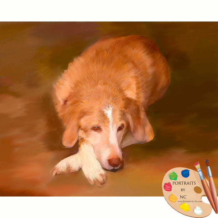 Labrador portrait 633