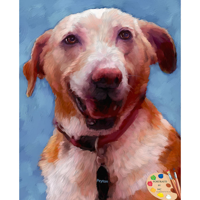 Labrador Painting 552