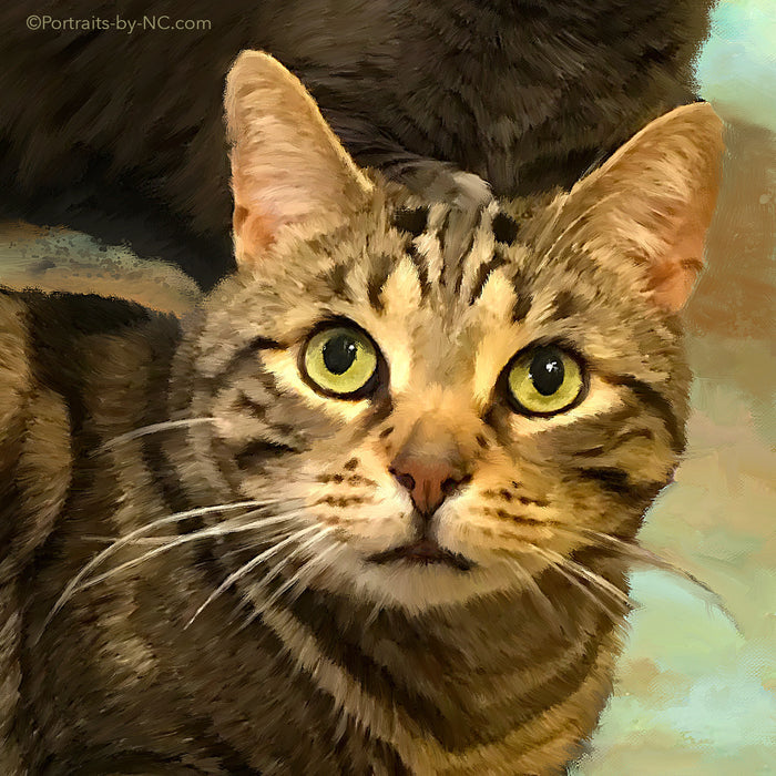 Tabby Cat Painting
