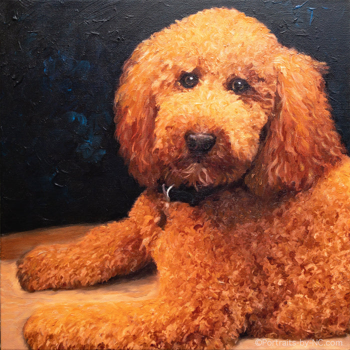 Standard Poodle Pet Portrait