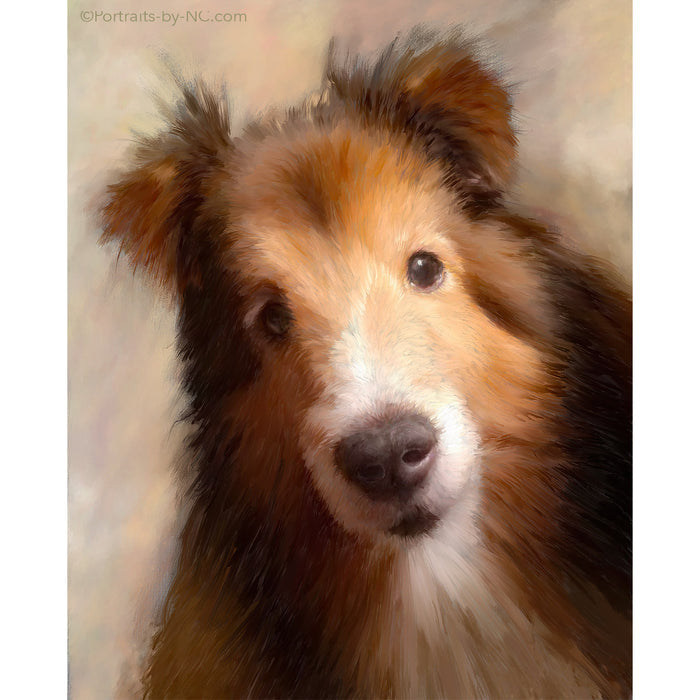 Custom Sheltie Dog Portrait | Hand-Painted Pet Canvas Art