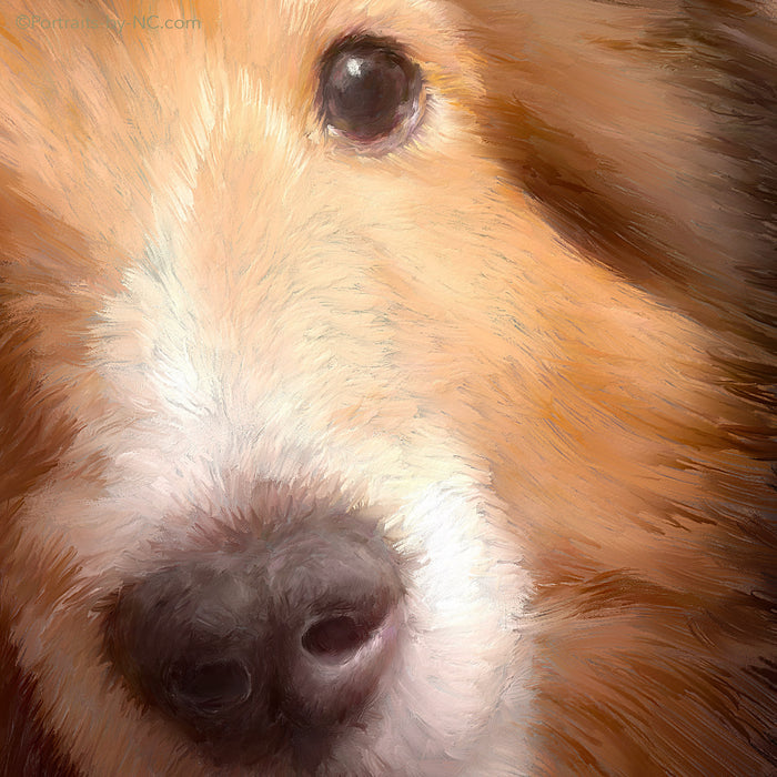 Custom Sheltie Dog Portrait | Hand-Painted Pet Canvas Art