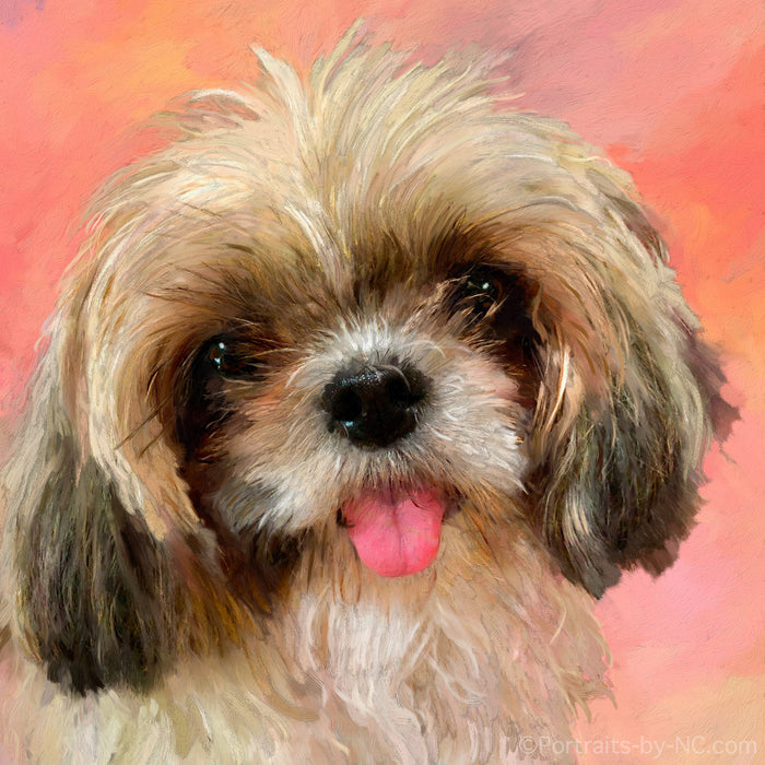 Shih Tzu Dog Portrait