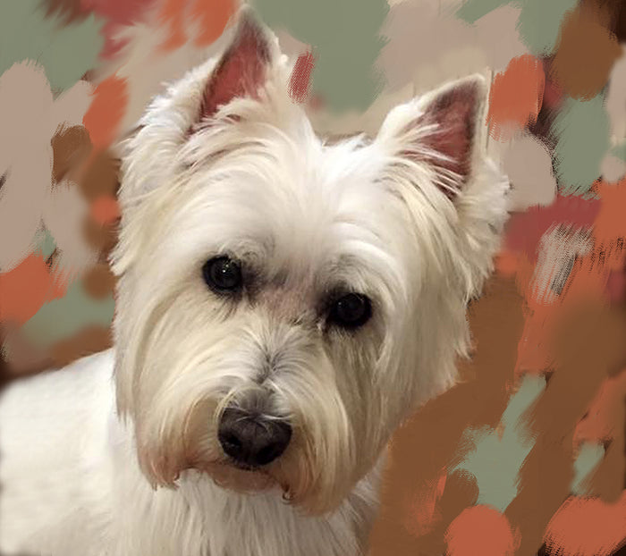 Westie Dog Portrait