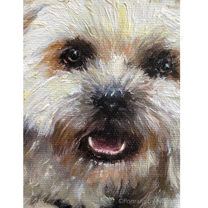 Shih Tzu face painting