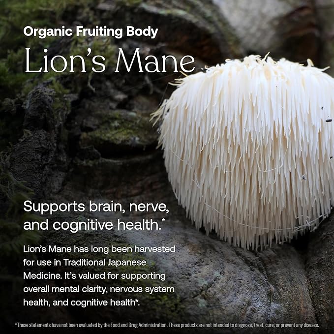 True Grace Daily Men’s 50+ Multivitamin supports brain, nerve, and cognitive health, plus memory and longevity, inspired by traditional Japanese wellness practices.