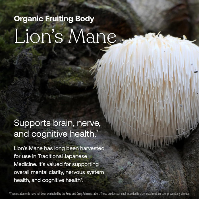 Close-up of the Daily Men’s 50+ Multivitamin - Refill Pouch by True Grace, with text highlighting organic ingredients, memory support, and cognitive health benefits for men over 50.