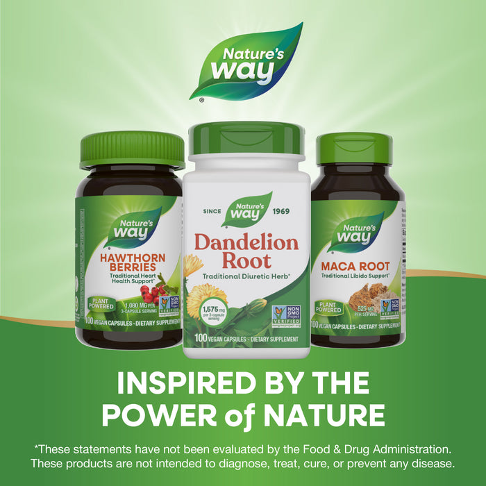 Nature’s Way Dandelion Root is featured alongside Hawthorn Berries and Maca Root against a green background, showcasing this renowned herbal supplement inspired by nature.