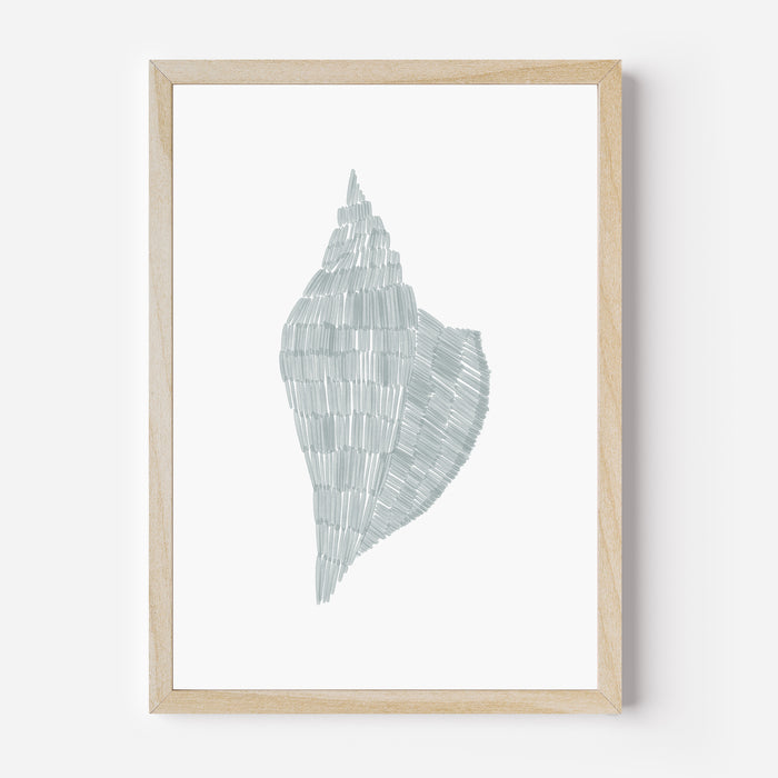 Deconstructed Conch Shell - Art Print or Canvas - Jetty Home