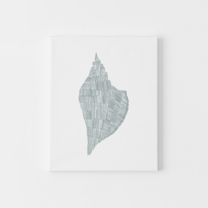 Deconstructed Conch Shell - Art Print or Canvas - Jetty Home
