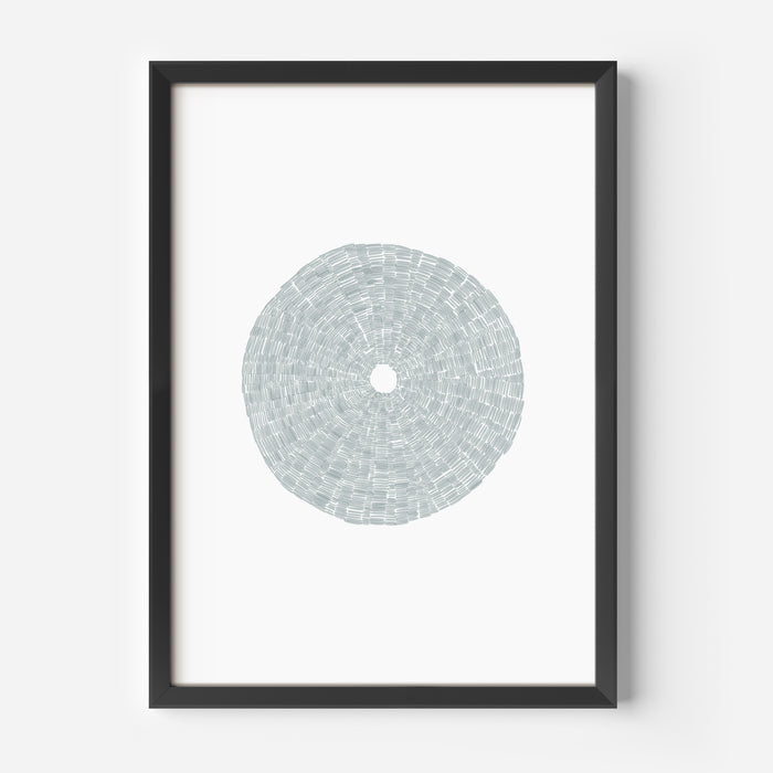 Deconstructed Sea Urchin Shell - Jetty Home