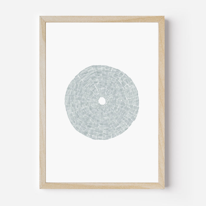 Deconstructed Sea Urchin Shell - Art Print or Canvas - Jetty Home