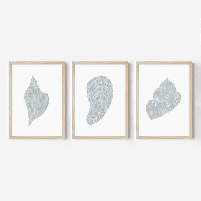 Deconstructed Seashell Trio, No. 1 - Set of 3 - Jetty Home