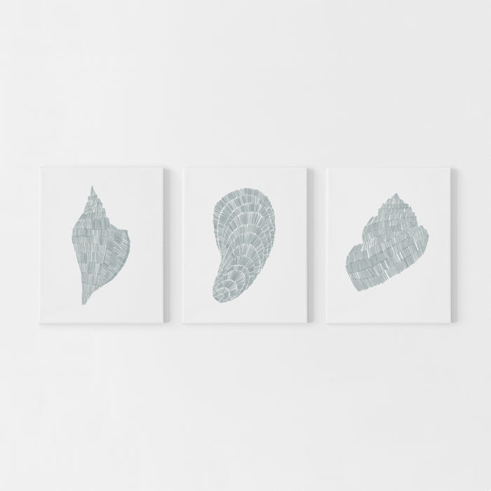 Deconstructed Seashell Trio, No. 1  - Set of 3  - Art Prints or Canvases - Jetty Home