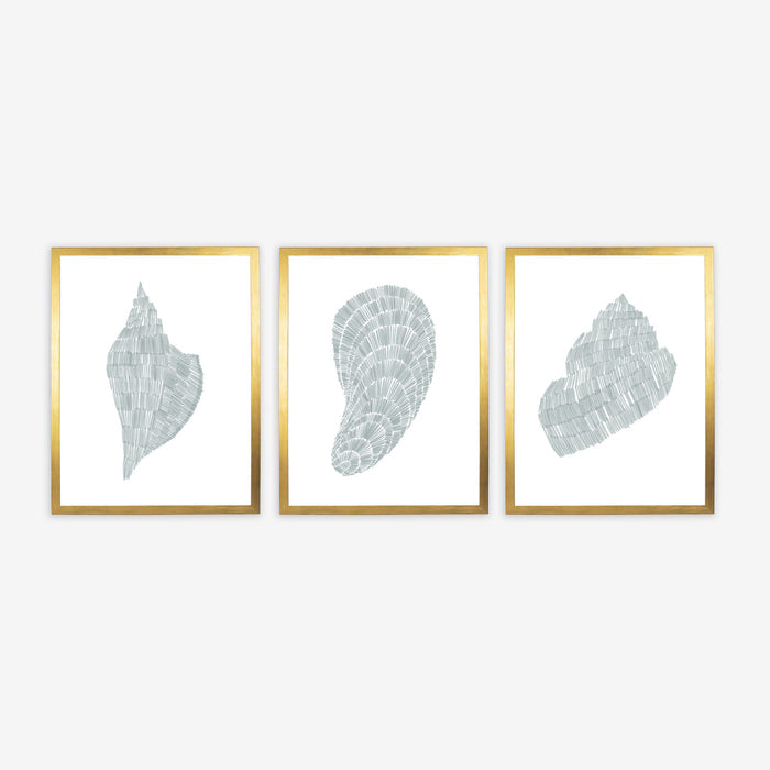 Deconstructed Seashell Trio, No. 1 - Set of 3 - Jetty Home
