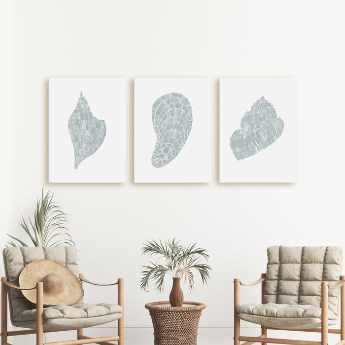 Deconstructed Seashell Trio, No. 1  - Set of 3  - Art Prints or Canvases - Jetty Home