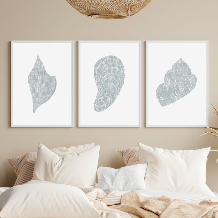 Deconstructed Seashell Trio, No. 1  - Set of 3  - Art Prints or Canvases - Jetty Home