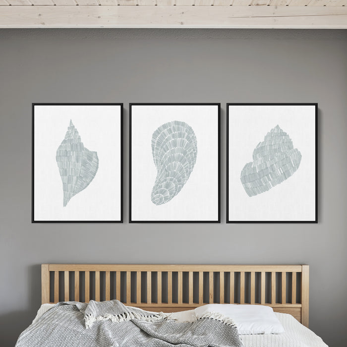 Deconstructed Seashell Trio, No. 1  - Set of 3  - Art Prints or Canvases - Jetty Home