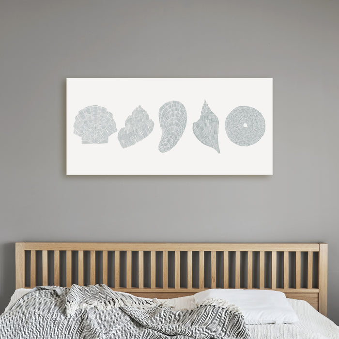 Deconstructed Seashells Panoramic - Art Print or Canvas - Jetty Home