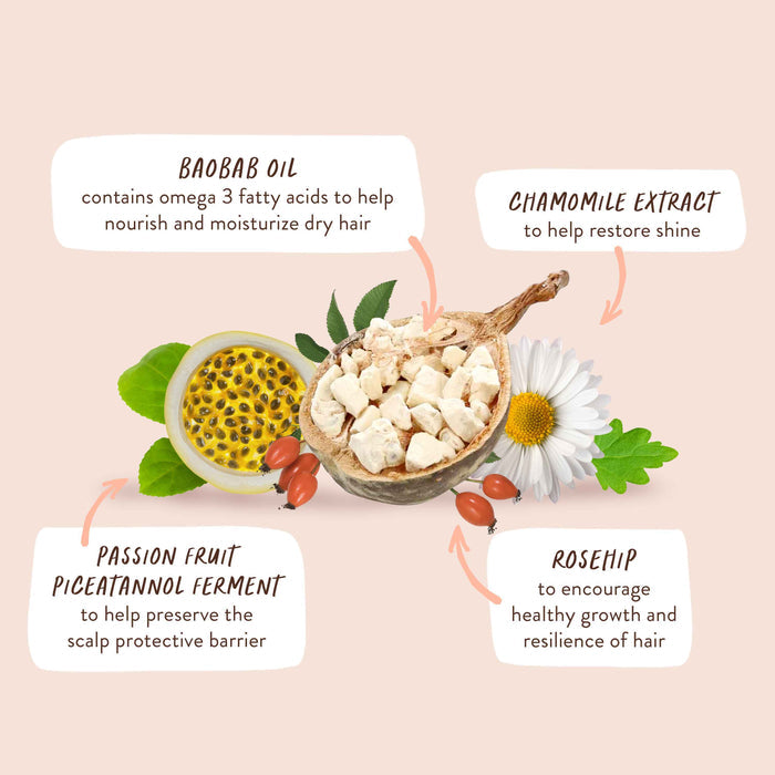 An arrangement of ingredients with labels: Baobab oil with text about nourishing dry hair, chamomile extract for shine, passion fruit piceatannol ferment for scalp protection, and rosehip for promoting healthy hair growth.