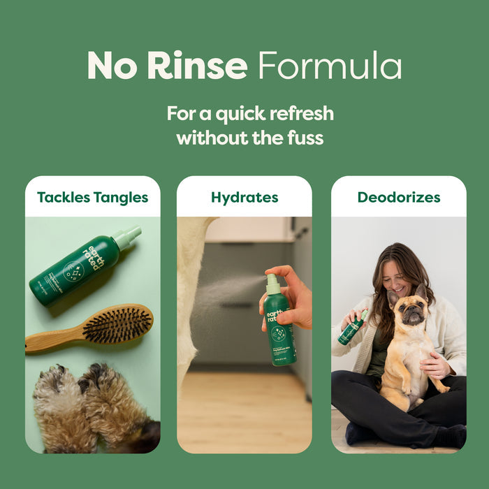 Earth Rated promotional image for a Deodorizing & Conditioning Refresh Mist for Dogs. The green background features three panels: Tackles Tangles by a brush and dog paws, Hydrates near a dog, and Deodorizes with a woman holding her pug. Header: No-Rinse Solution—a grooming essential.