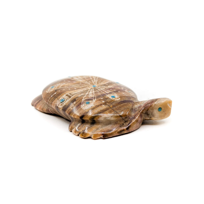 Desert Tortoise with Etching and Turquoise Accents