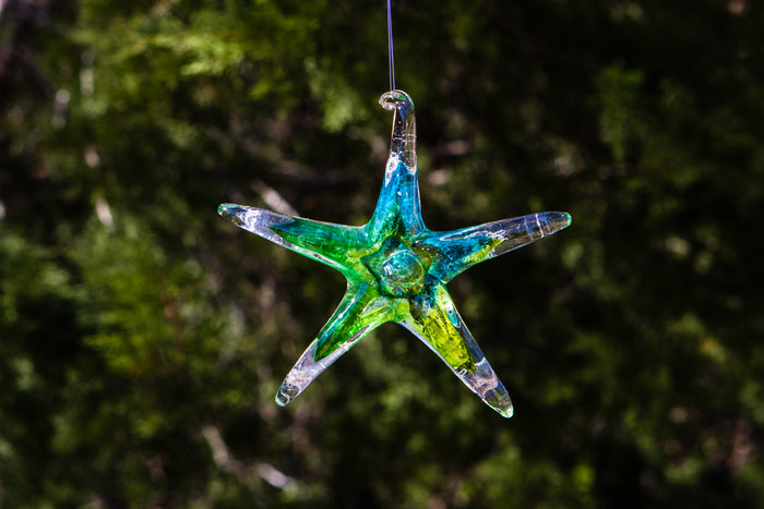 Dichroic starfish suncatcher infused with cremains hanging from a string against a leafy garden background.