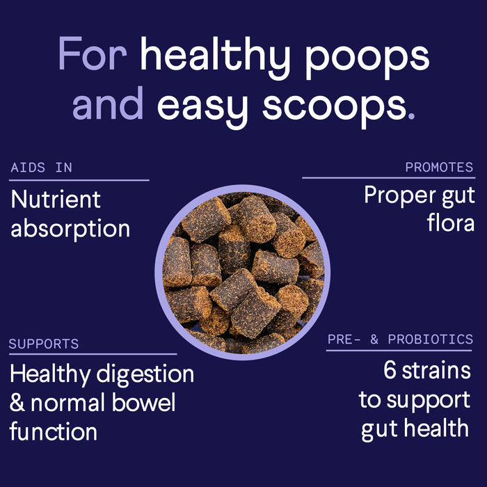 Image displaying Finns Digestive Probiotics Supplement For Dogs with text: For healthy poops and easy scoops. Benefits include aiding nutrient absorption, supporting digestion and normal bowel function, promoting proper gut flora with 6 strains for gut health.