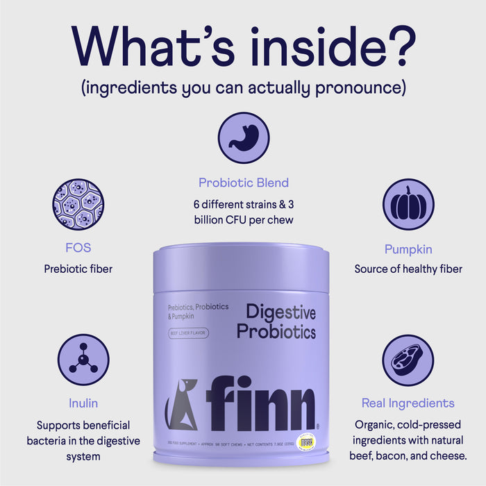 Finns Digestive Probiotics Supplement For Dogs, crafted with real beef and bacon, ensures healthy digestion. It contains prebiotic fiber like pumpkin and inulin, with a blend of six strains. The image showcases the container and ingredient icons.