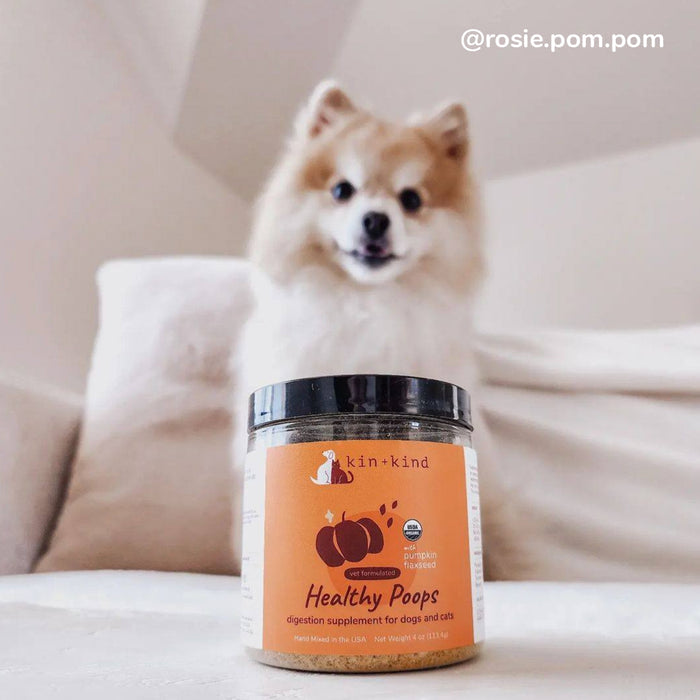 A fluffy dog, slightly out of focus in the background, gazes at a jar of kin+kinds Digestive Support Powder Supplement for Dogs and Cats featuring an orange label with a dogs silhouette. Infused with prebiotic fiber, this organic treat is ready to support your pets digestive health indoors.