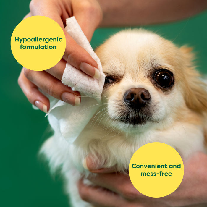 A small dog is being gently wiped near the eye with a cloth. The image includes text bubbles that read, "Hypoallergenic formulation" and "Convenient and mess-free." The background is green.