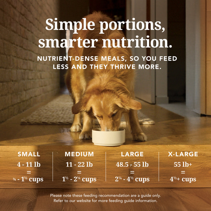 A golden dog eats from a white bowl indoors. Text above reads: Simple portions, smarter nutrition—with K9 Natural Dog Food - Grain-Free, Freeze-Dried and feeding guidelines for different dog sizes by weight and cup measurements.